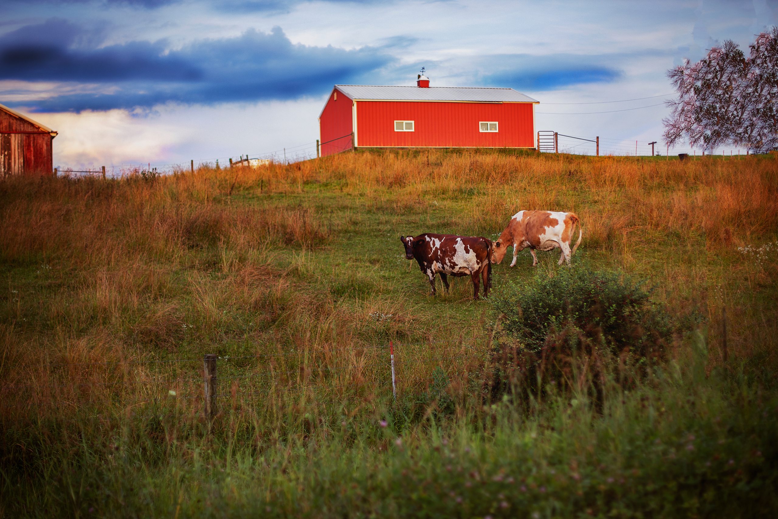 An Introduction to Farming