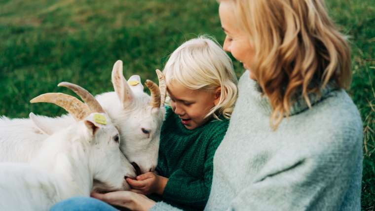 The Best Pets on Farm